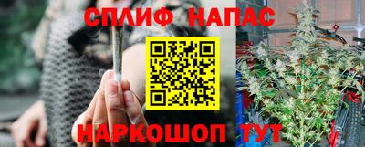 твердый Краснознаменск