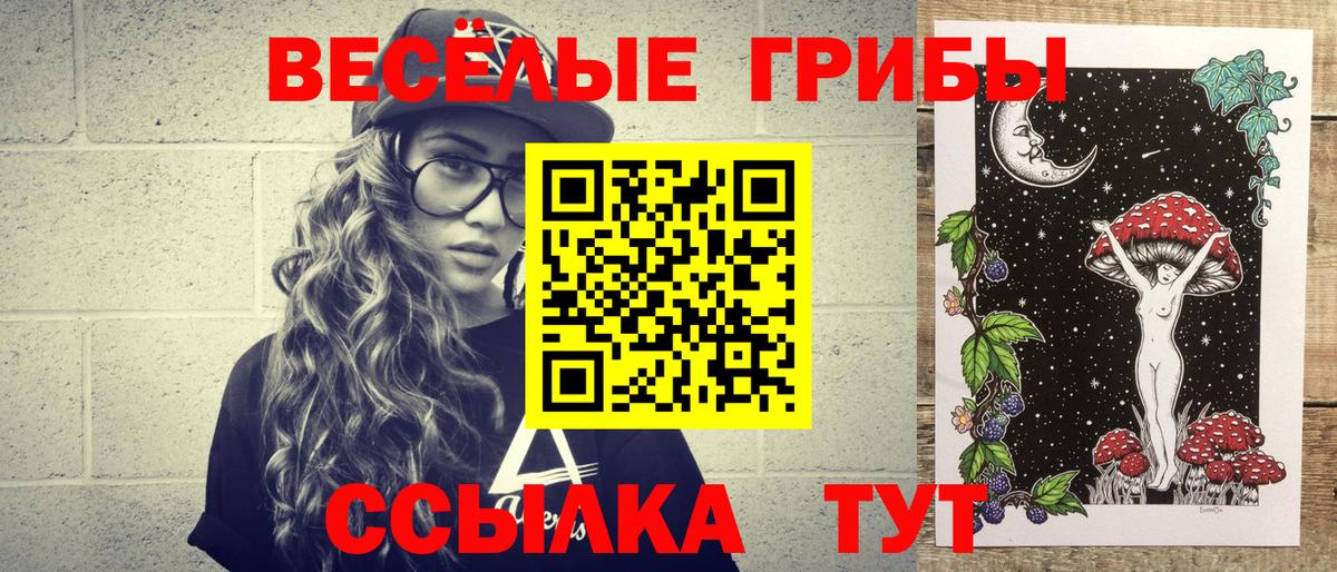 Галлюциногенные грибы Psilocybe Феодосия