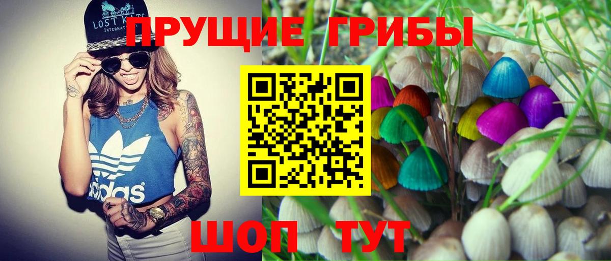 Псилоцибиновые грибы Cubensis  Галлюциногенные грибы мухоморы  Вход с VPN  Феодосия 